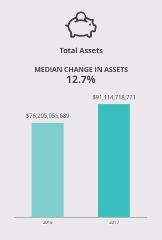 Bar graph depicted increase in median change in assets from 2016 to 2017