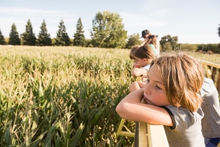 Kids leaning on fence looking at field