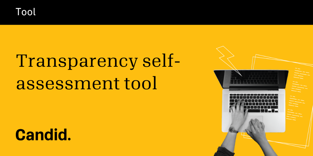 Transparency self-assessment